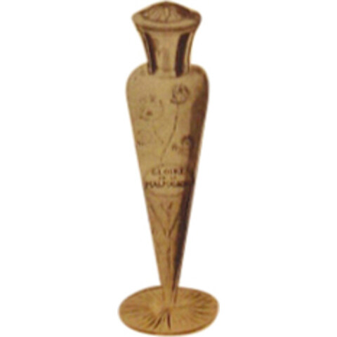 Gloire de la Malmaison